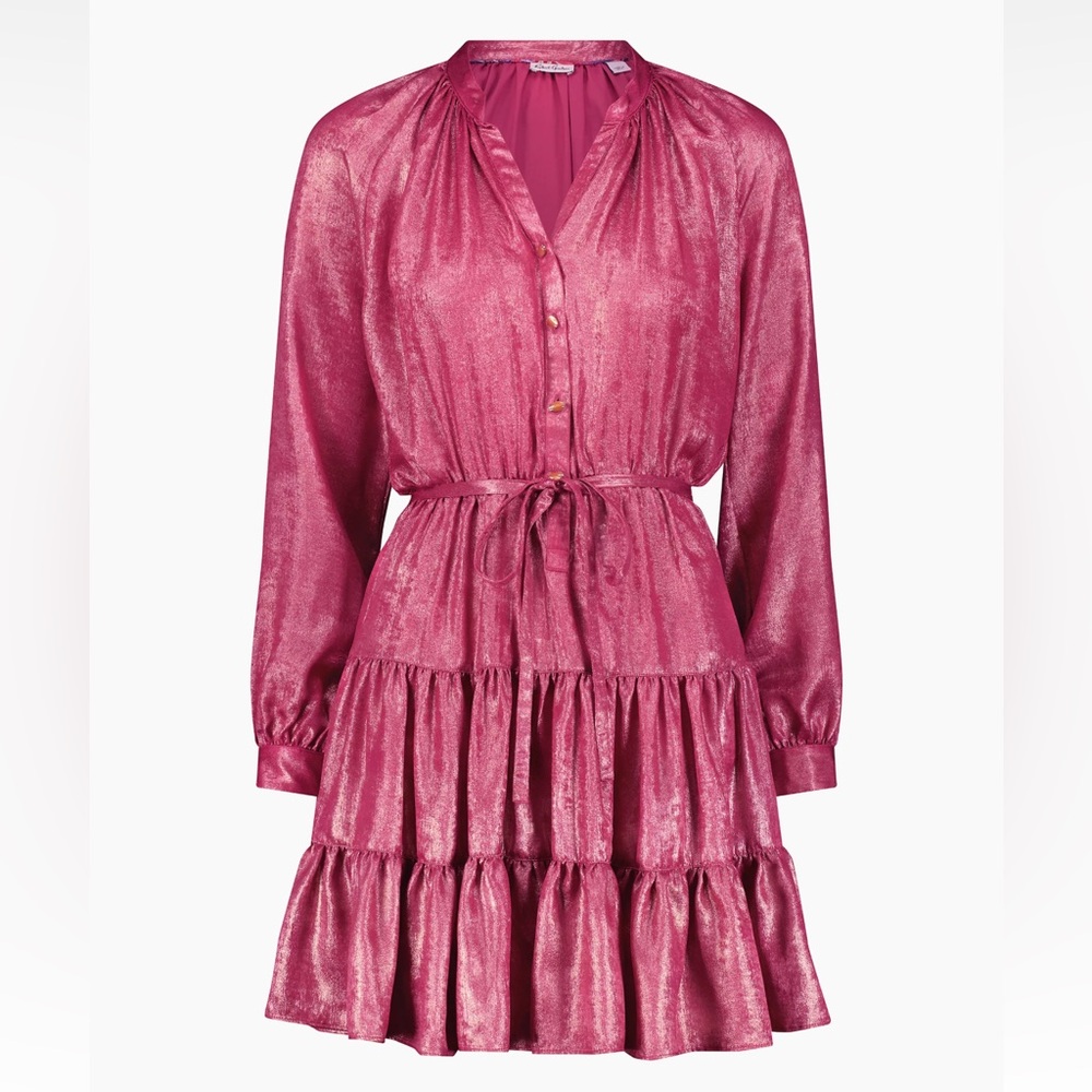 Robert Graham Pink Metallic Tiered Mini Dress
